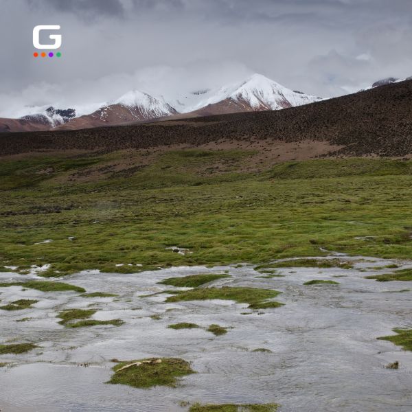 Parque Nacional Lauca